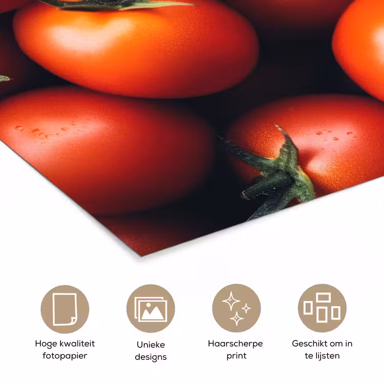 Poster - Groente - Rood - Tomaten — 5