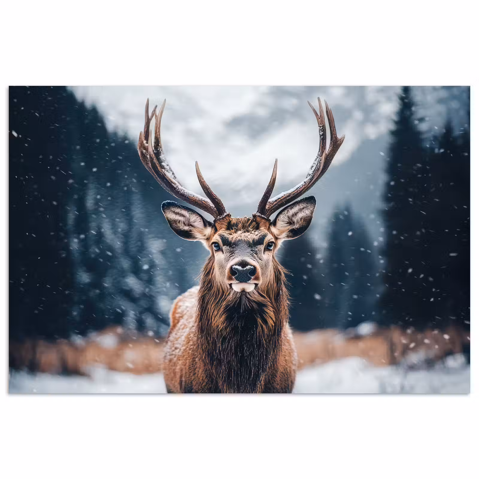 Poster - Hert - Dieren - Landschap - Winter - Sneeuw — 1