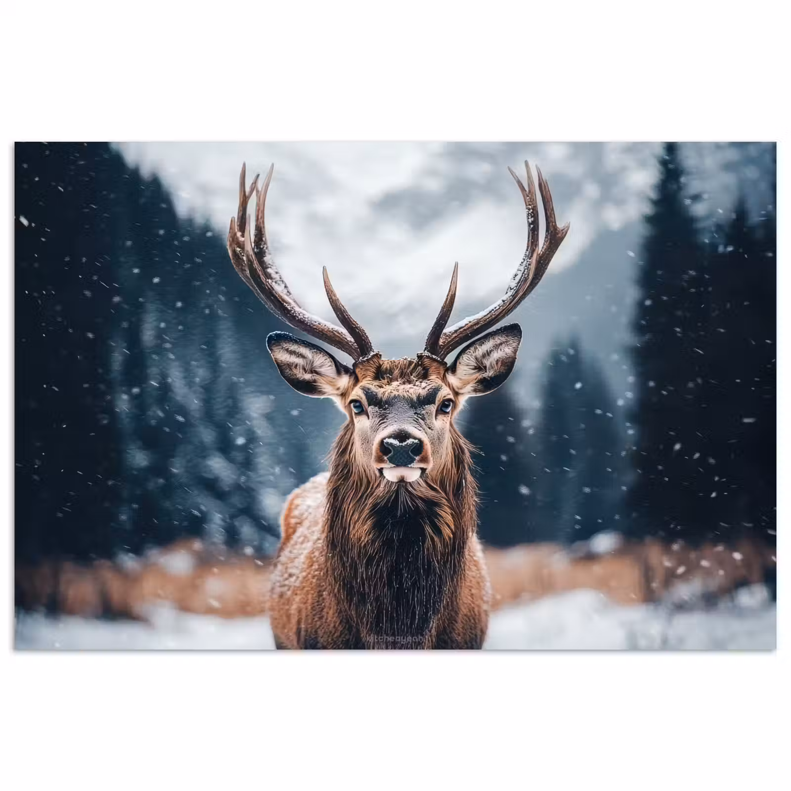Poster - Hert - Winter - Hertenkop - Sneeuw - Gewei — 1