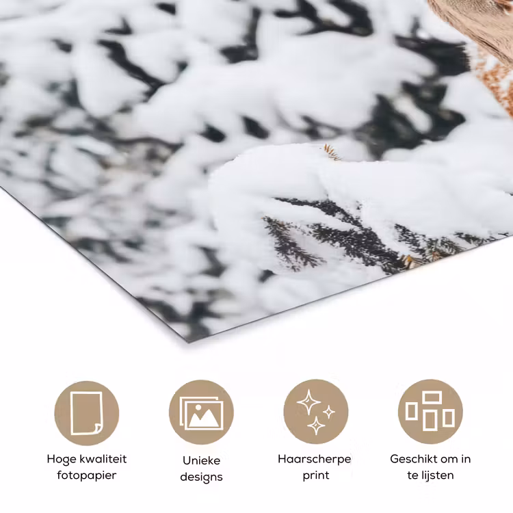 Poster - Hert - Sneeuw - Winter - Bos - Dieren — 5