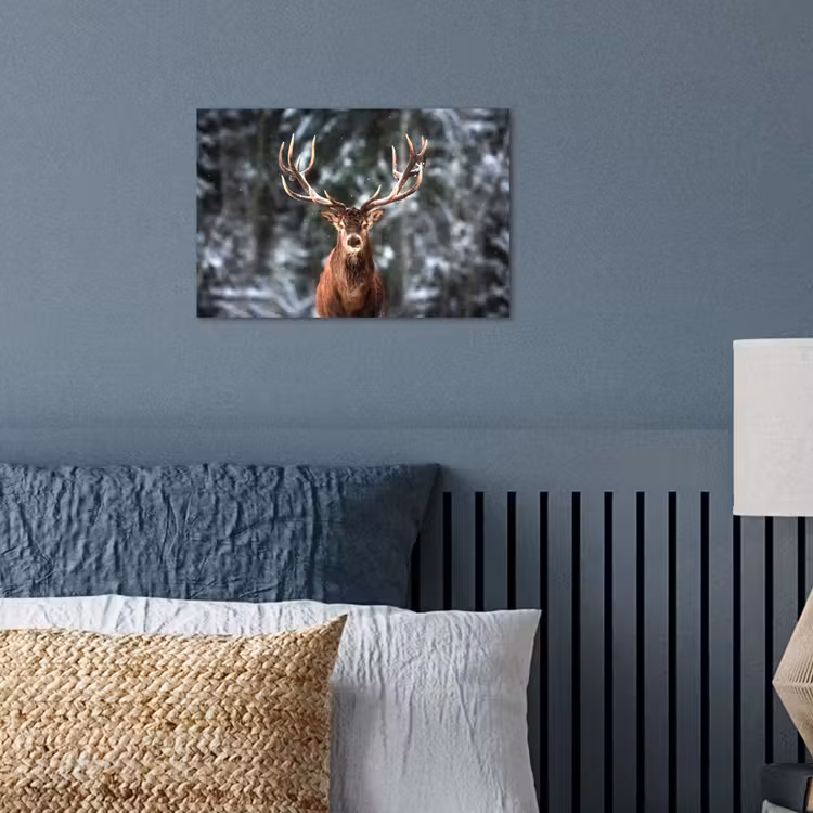 Poster - Hert - Winter - Sneeuw - Bos - Natuur - Dier — 3