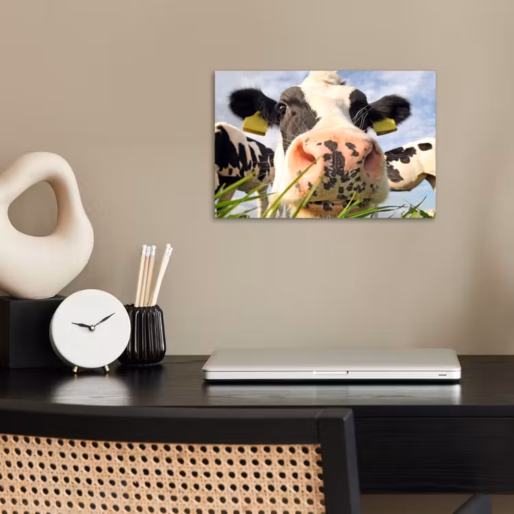 Poster - Koe - Boerderij - Gras - Dieren — 2