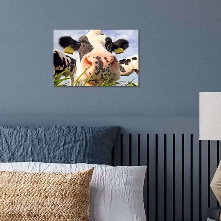 Poster - Koe - Boerderij - Gras - Dieren — 3