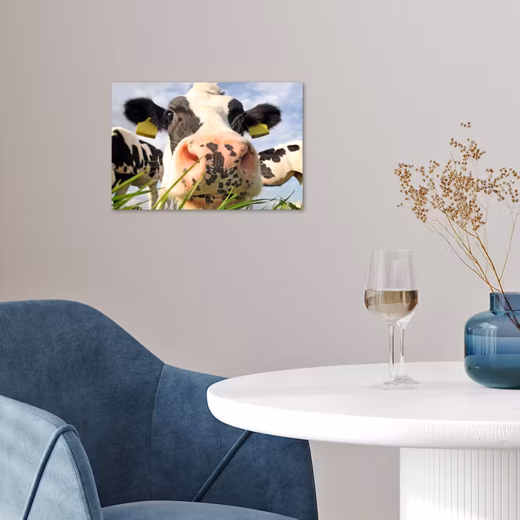 Poster - Koe - Boerderij - Gras - Dieren — 4