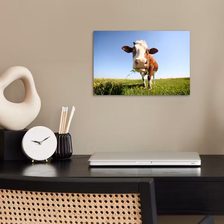 Poster - Koe - Dieren - Bloemen - Gras — 2