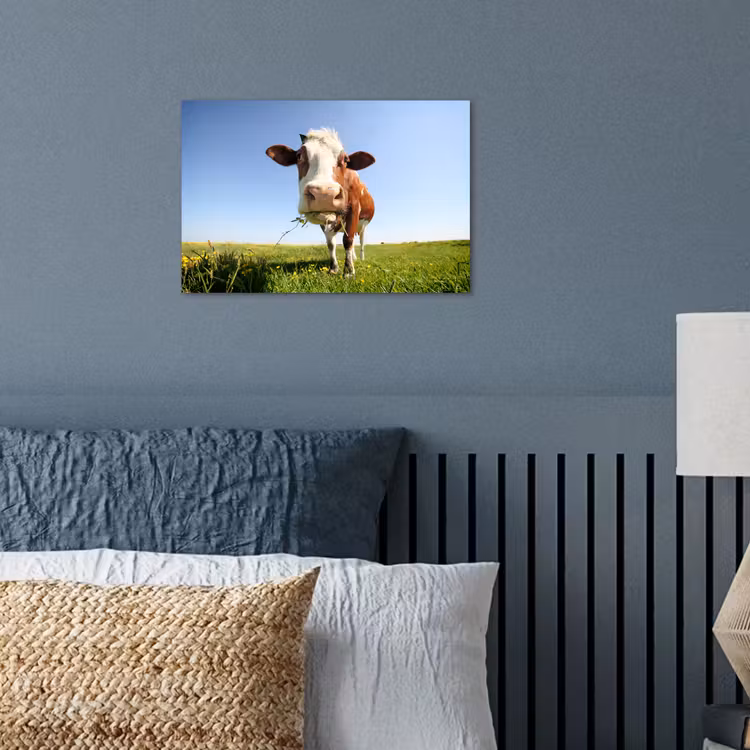 Poster - Koe - Dieren - Bloemen - Gras — 3