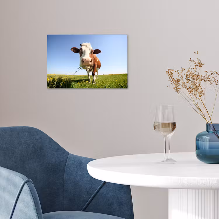 Poster - Koe - Dieren - Bloemen - Gras — 4