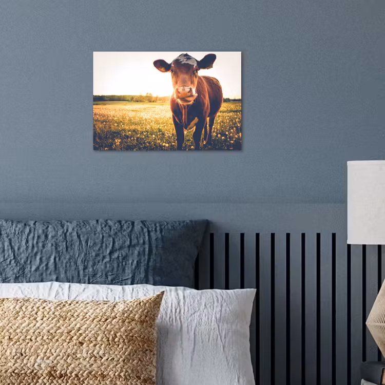 Poster - Koe - Zonsondergang - Bloemen - Gras - Dieren — 3
