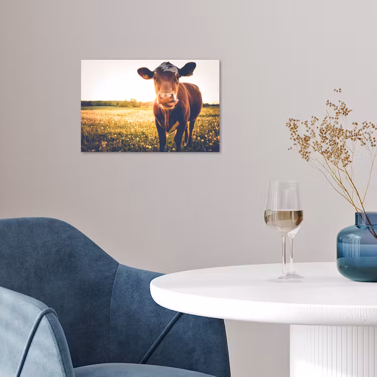 Poster - Koe - Zonsondergang - Bloemen - Gras - Dieren — 4