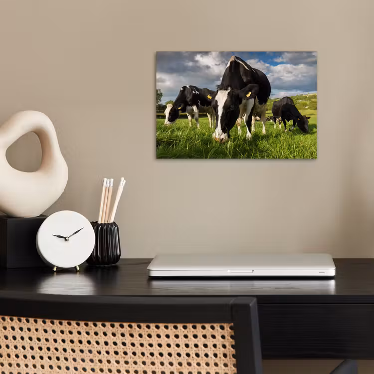 Poster - Koeien - Dieren - Gras - Weiland - Boerderij — 2