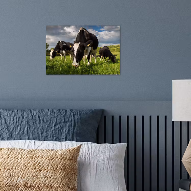 Poster - Koeien - Dieren - Gras - Weiland - Boerderij — 3