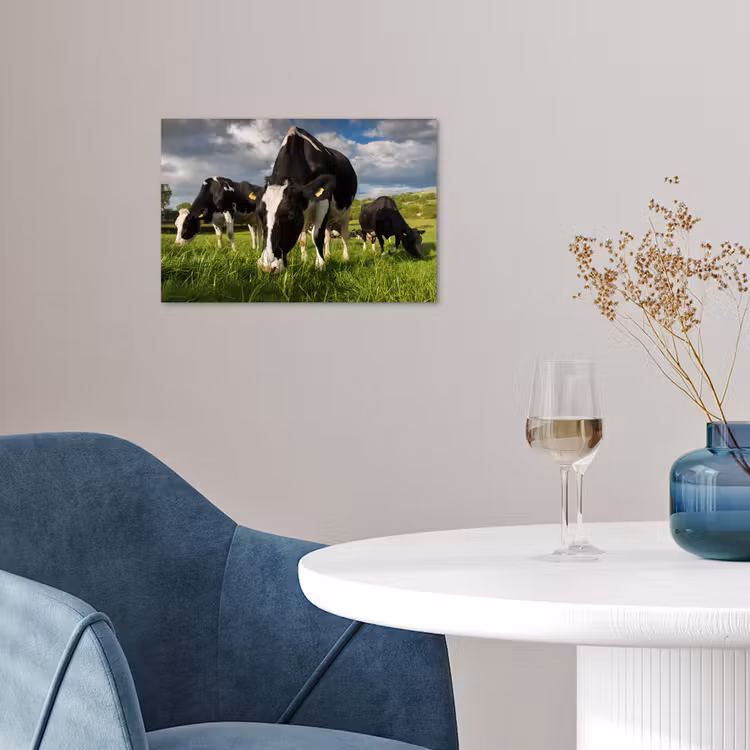 Poster - Koeien - Dieren - Gras - Weiland - Boerderij — 4