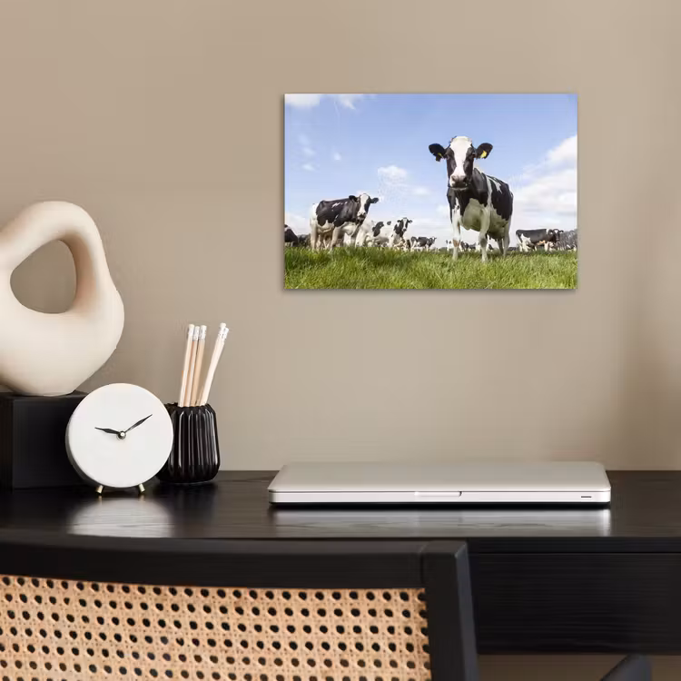 Poster - Koeien - Gras - Dieren - Zon - Boerderij — 2