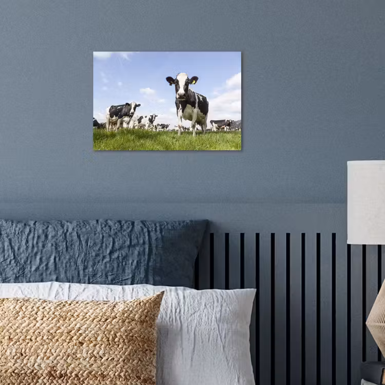 Poster - Koeien - Gras - Dieren - Zon - Boerderij — 3