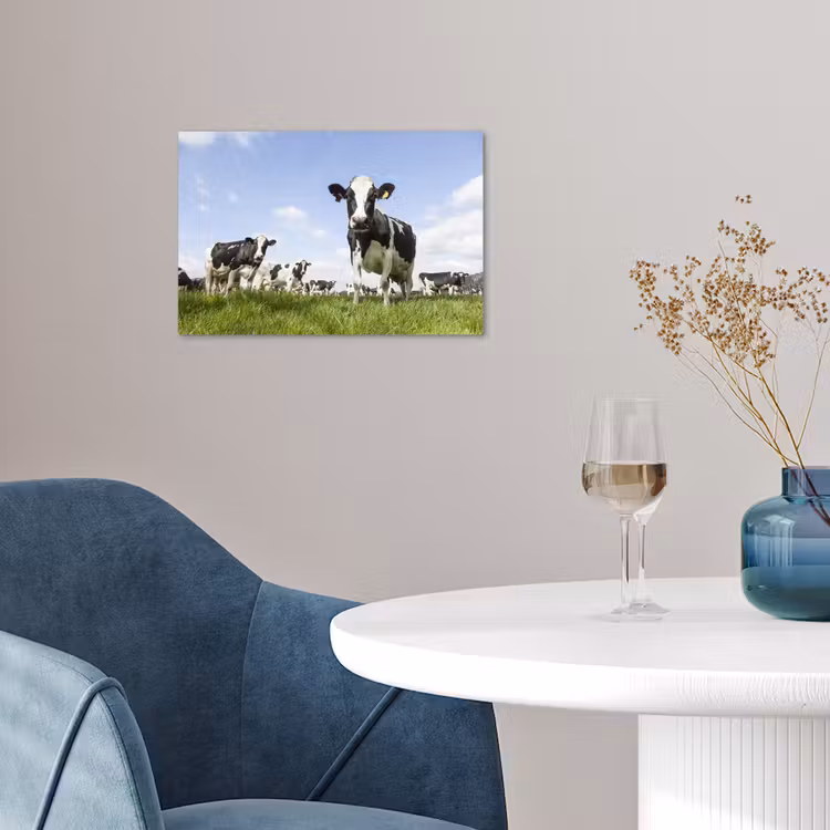 Poster - Koeien - Gras - Dieren - Zon - Boerderij — 4