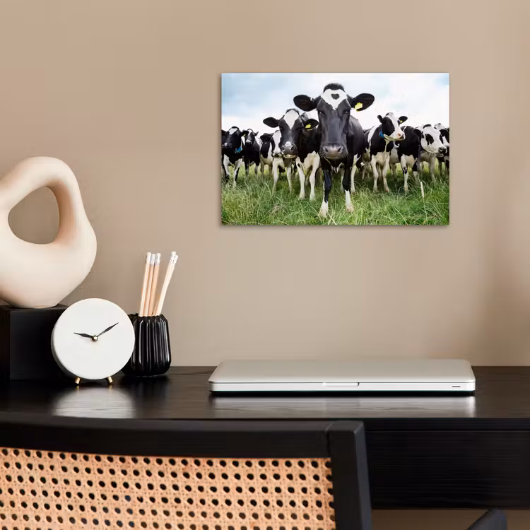 Poster - Koeien - Gras - Lente - Dieren - Weiland - Boerderij — 2