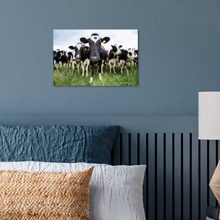 Poster - Koeien - Gras - Lente - Dieren - Weiland - Boerderij — 3