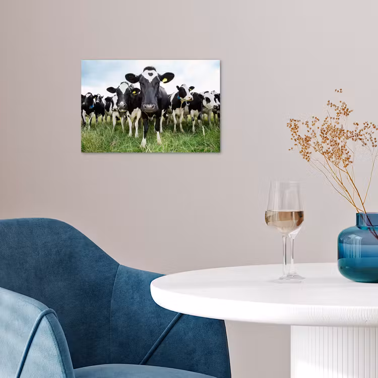 Poster - Koeien - Gras - Lente - Dieren - Weiland - Boerderij — 4