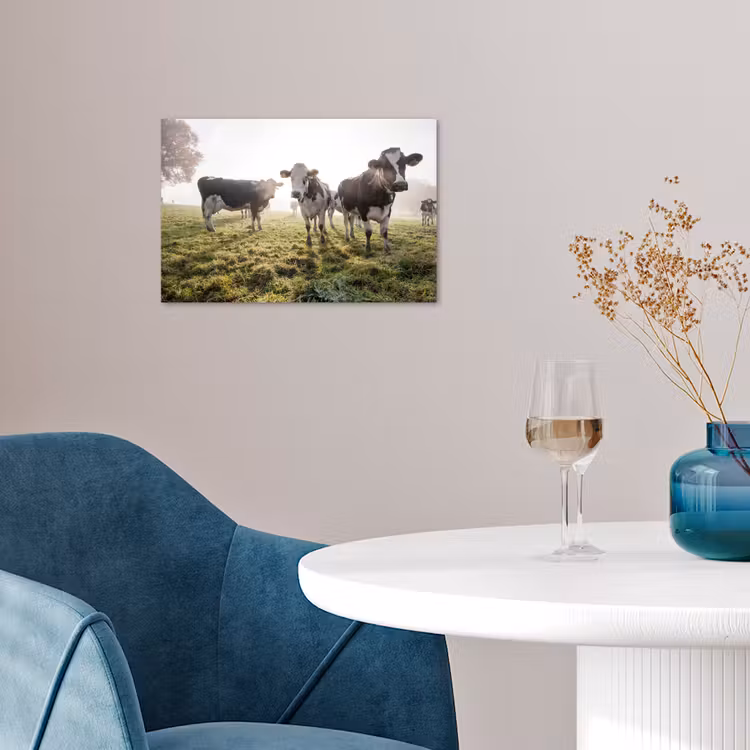 Poster - Koeien - Licht - Gras - Dieren — 4