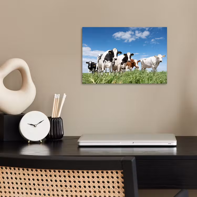 Poster - Koeien - Platteland - Weiland - Natuur - Dieren — 2