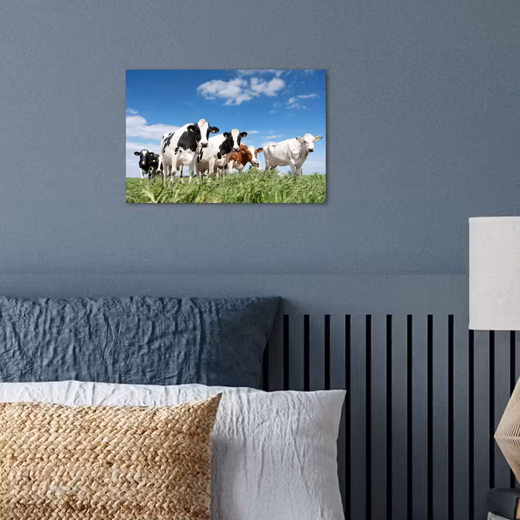 Poster - Koeien - Platteland - Weiland - Natuur - Dieren — 3