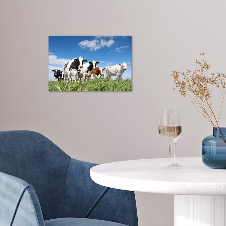 Poster - Koeien - Platteland - Weiland - Natuur - Dieren — 4