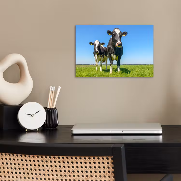 Poster - Koeien - Weiland - Gras - Dieren - Boerderij — 2