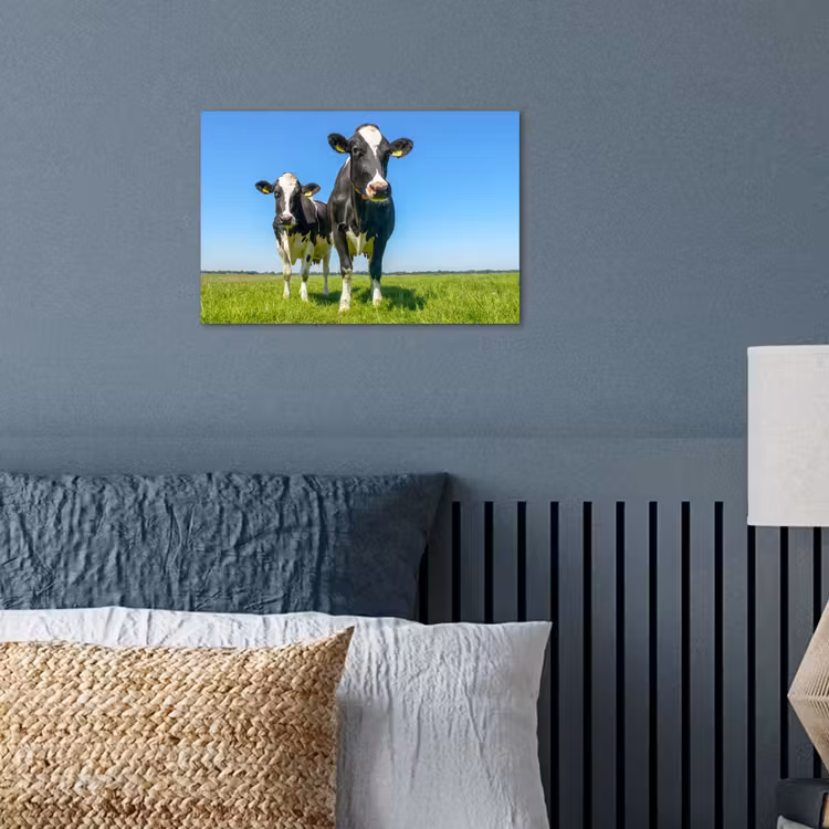 Poster - Koeien - Weiland - Gras - Dieren - Boerderij — 3