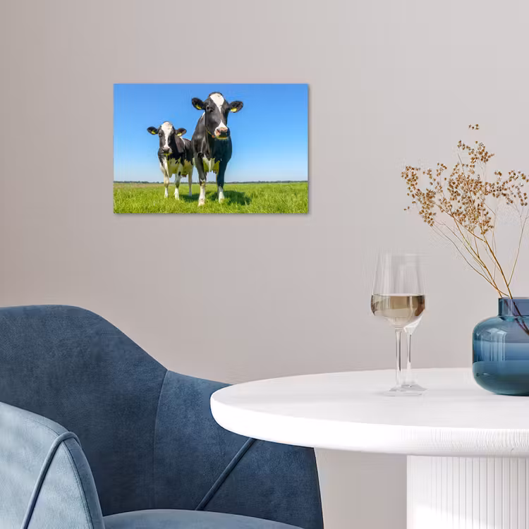 Poster - Koeien - Weiland - Gras - Dieren - Boerderij — 4