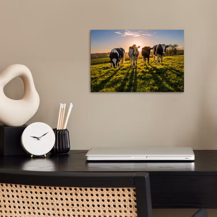 Poster - Koeien - Zon - Gras - Dieren - Boerderij — 2