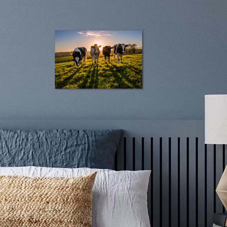 Poster - Koeien - Zon - Gras - Dieren - Boerderij — 3