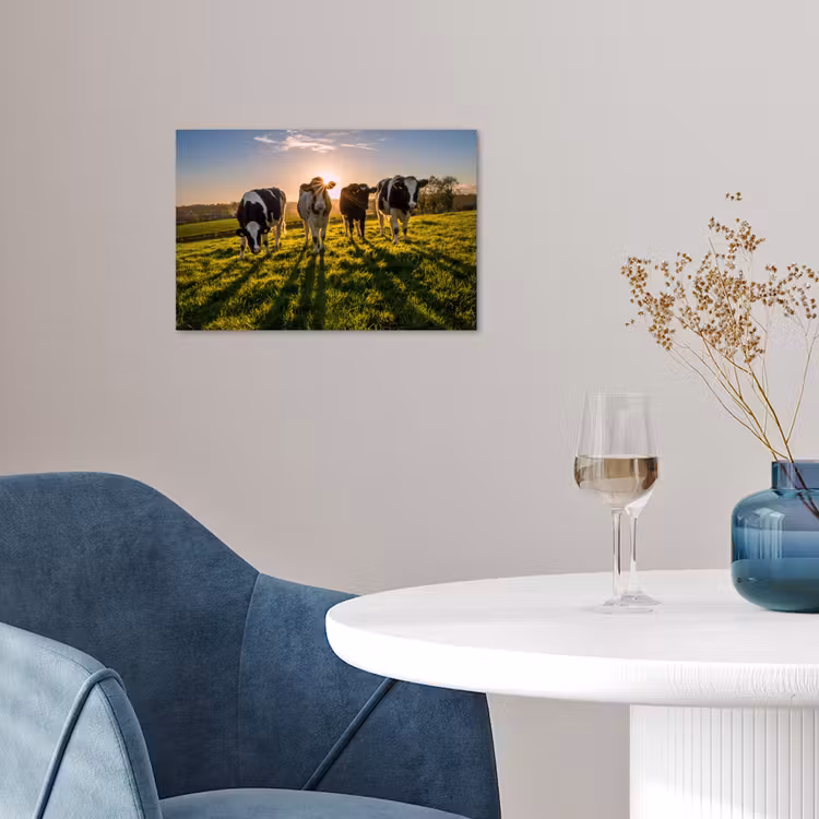 Poster - Koeien - Zon - Gras - Dieren - Boerderij — 4