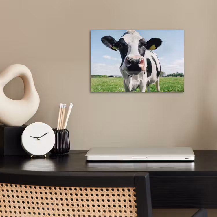 Poster - Koe - Weiland - Natuur - Dieren - Gras — 2