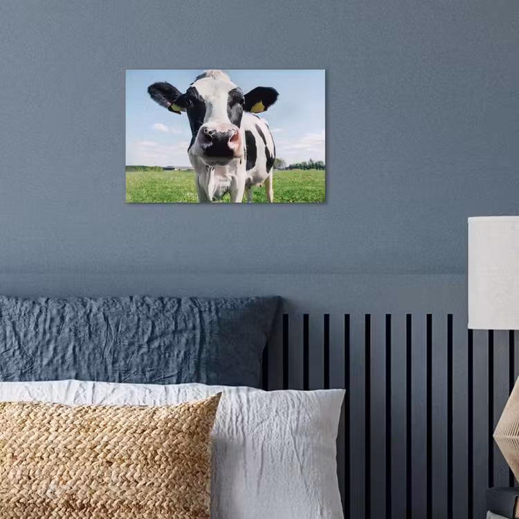 Poster - Koe - Weiland - Natuur - Dieren - Gras — 3
