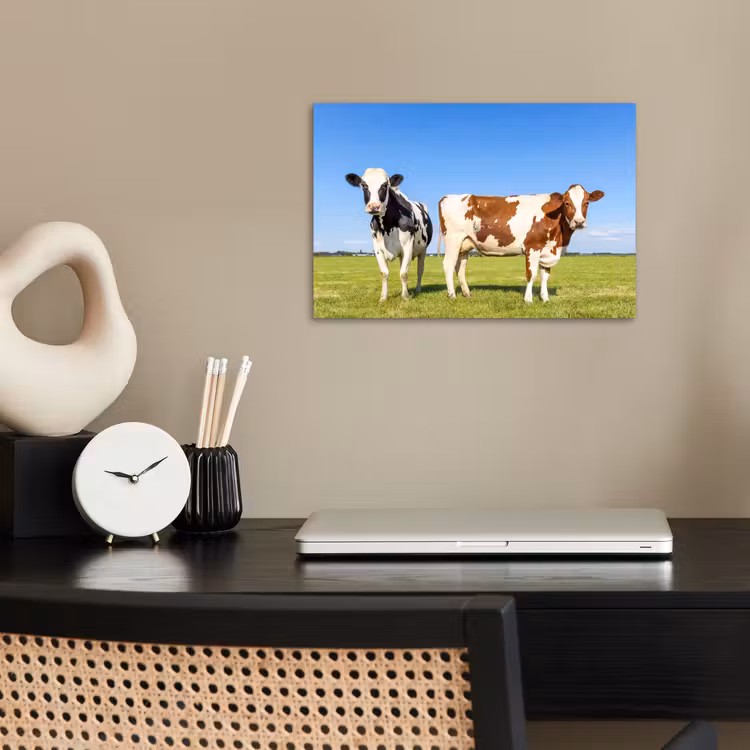 Poster - Koeien - Boerderij - Gras- Natuur - Dieren — 2