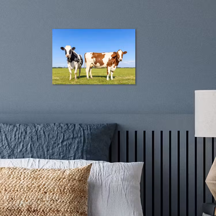 Poster - Koeien - Boerderij - Gras- Natuur - Dieren — 3