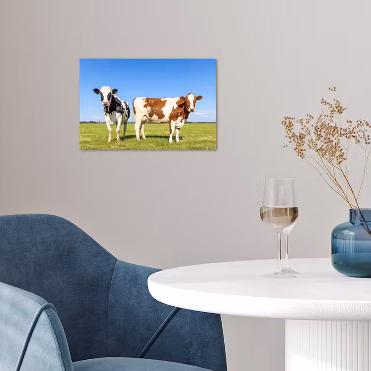 Poster - Koeien - Boerderij - Gras- Natuur - Dieren — 4