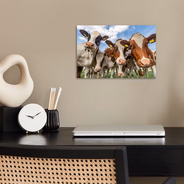 Poster - Koeien - Dieren - Weiland - Natuur — 2