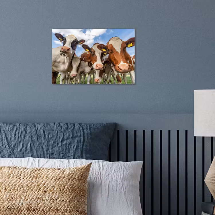 Poster - Koeien - Dieren - Weiland - Natuur — 3