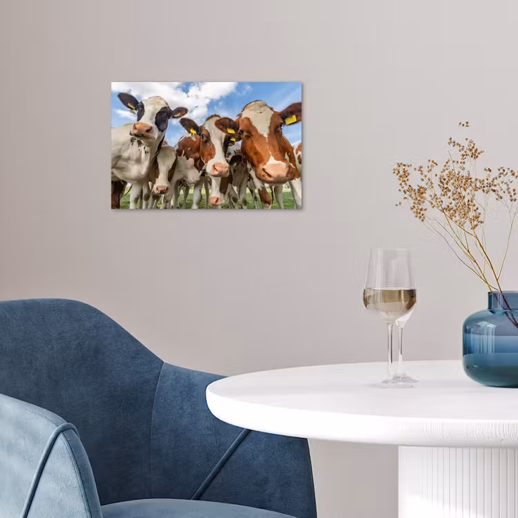 Poster - Koeien - Dieren - Weiland - Natuur — 4