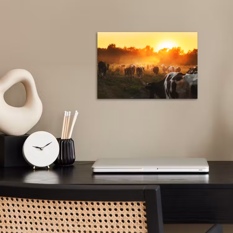 Poster - Koeien - Zonsondergang - Weiland - Dieren — 2