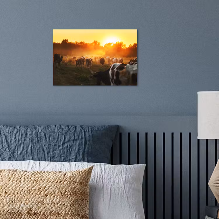 Poster - Koeien - Zonsondergang - Weiland - Dieren — 3