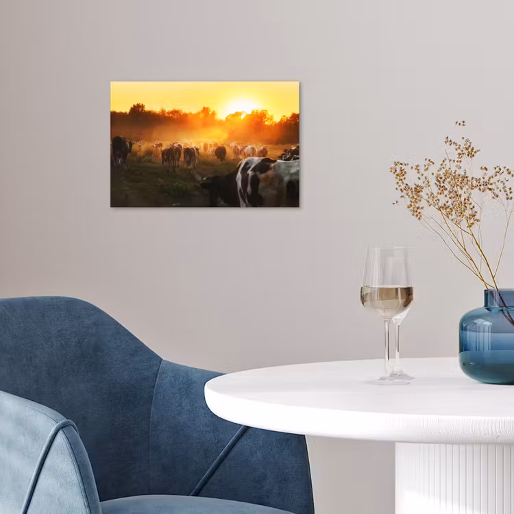 Poster - Koeien - Zonsondergang - Weiland - Dieren — 4