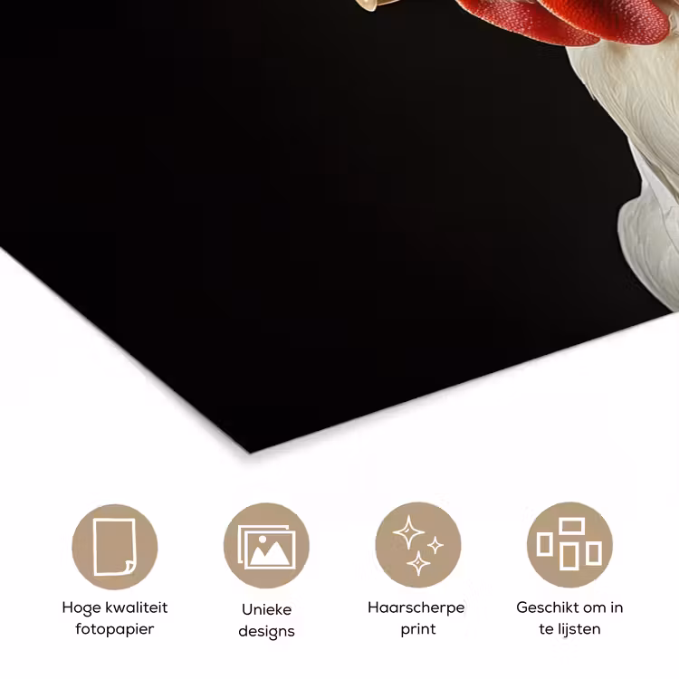 Poster - Kok - Rood - Kip — 5
