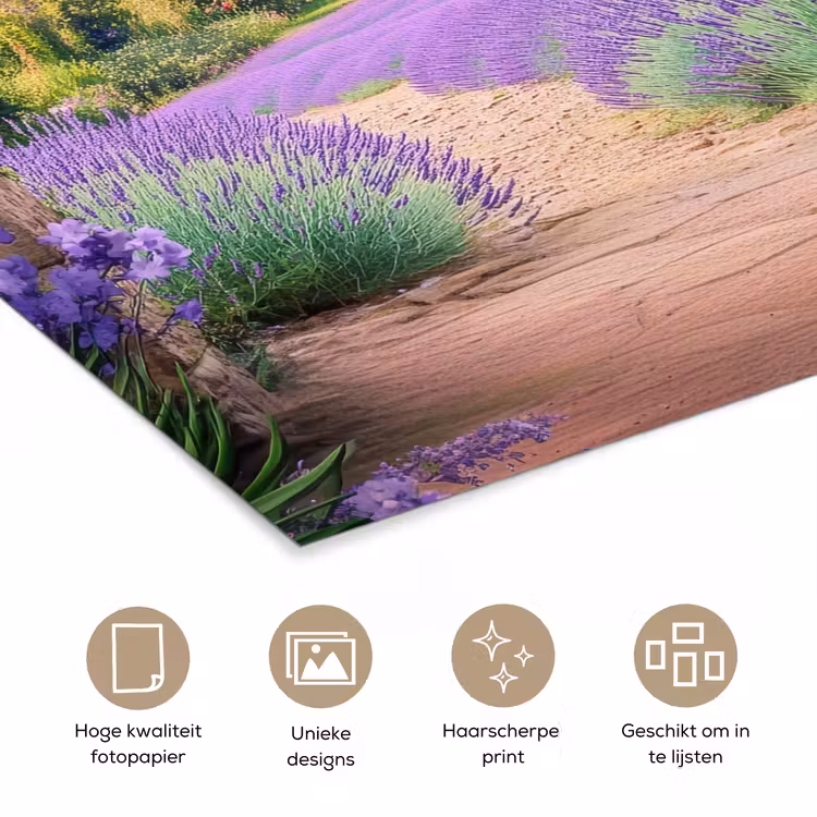 Poster - Doorkijk - Lavendel - Bloemen - Paars - Poort — 5