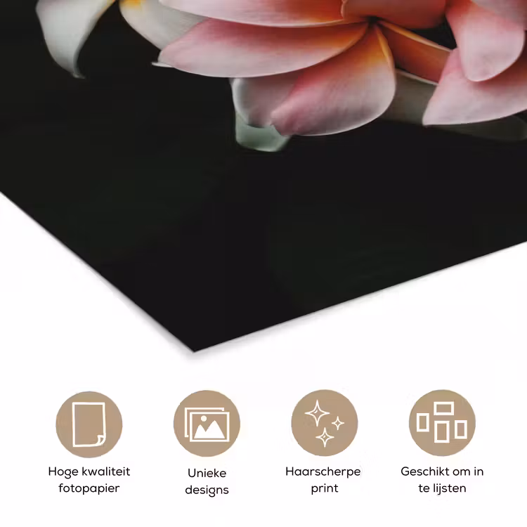 Poster - Bloemen - Roze - Zwart - Flora - Botanisch — 5