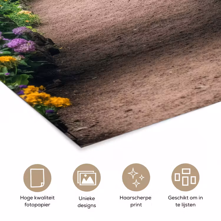Poster - Doorkijk - Bloemen - Hortensia - Pad — 5