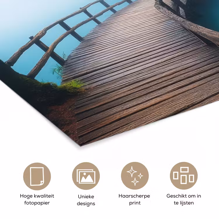 Poster - Brug - Water - Rivier - Bos — 5