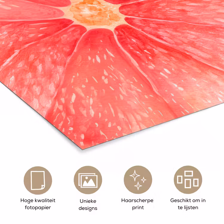 Poster - Grapefruit - Roze - Levendig — 5