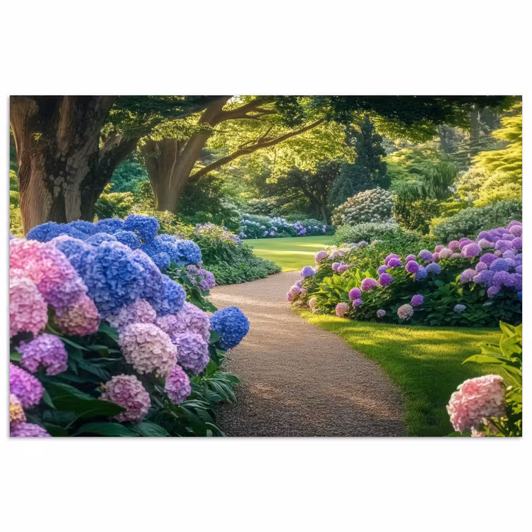 Poster - Hortensia- Park - Pad — 1